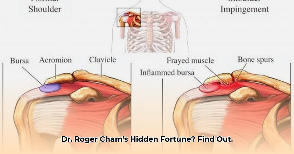 dr-roger-chams-net-worth